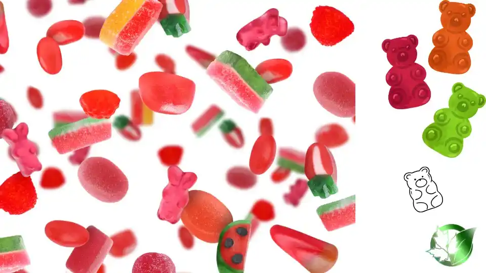 Commercial presentation of Gummy Candy for wholesale product evaluation and buyer review.